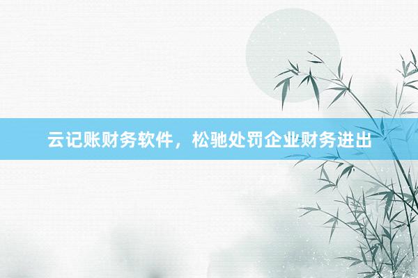 云记账财务软件，松驰处罚企业财务进出