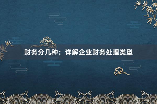 财务分几种：详解企业财务处理类型