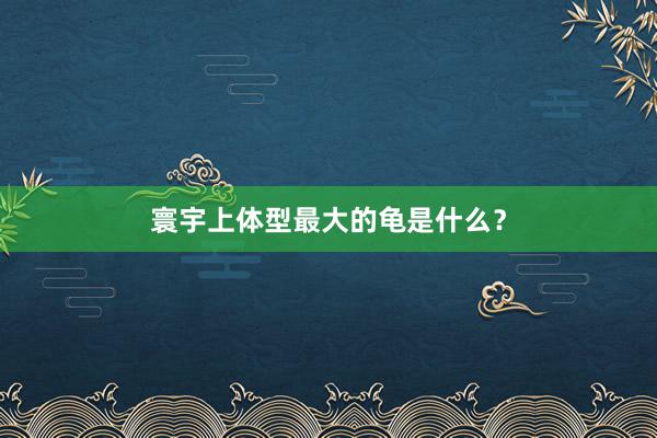 寰宇上体型最大的龟是什么？