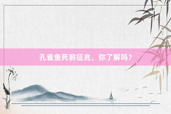 孔雀鱼死前征兆，你了解吗？